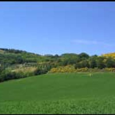 Agriturismo Il Guardacielo