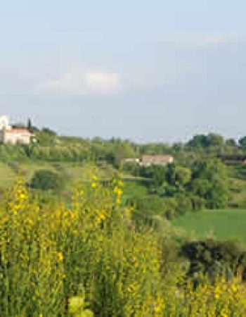 Agriturismo  Ca’ Verde