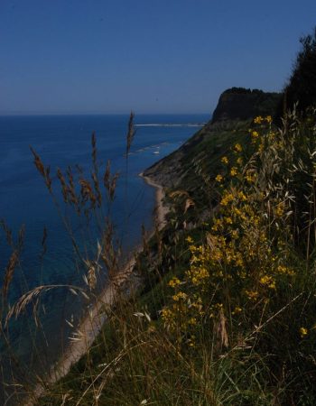 Camping Panorama